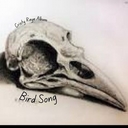 Cover of album Bird Song by ❄ɛʟɨʐǟɮɛȶɦ❄