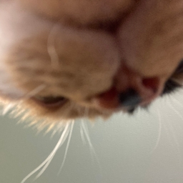 Avatar of user Idontknow4780