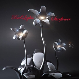 Cover of track Starflower by ⌈CS⌋ RedLights
