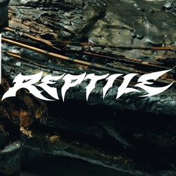 Avatar of user JK_Reptile