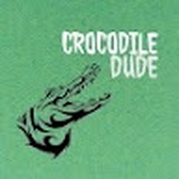 Avatar of user CrocodileDudeYT
