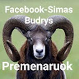 Avatar of user Simasbud