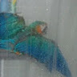 Avatar of user KR4ZZYK1D