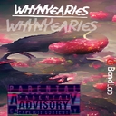 Avatar of user WhynyeAries