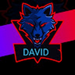 Avatar of user balandavid33_gmail_com