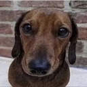 Avatar of user beanpasted1