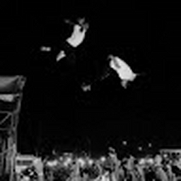 Avatar of user gotire