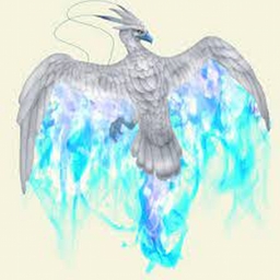 Avatar of user phoenix of ice