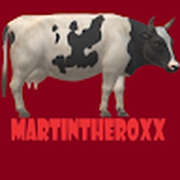 Avatar of user MartinTheRoxx