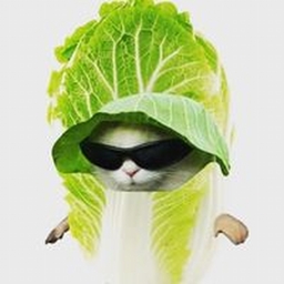 Avatar of user natty_natchy