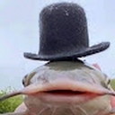 Avatar of user FunDogFuneral