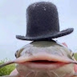 Avatar of user FunDogFuneral