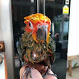 Avatar of user IMADRUMMERANDIMGOODATIT