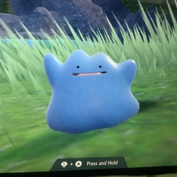Avatar of user Ditto-2