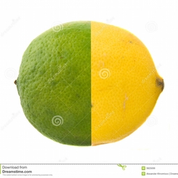 Avatar of user Lemon-Lime