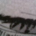 Avatar of user flowerless