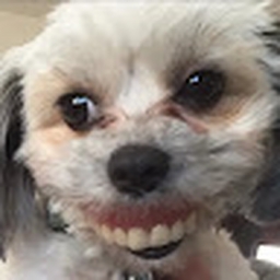 Avatar of user gabrmccl_greenbaystudent_org