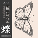Cover of album Butterfly LP by BioL!nk