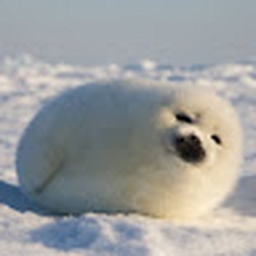 Avatar of user romanrea2007_gmail_com