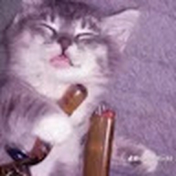 Avatar of user rodrigo_ramirez2997_gmail_com