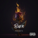 Cover of album Burn (single) by S.E.N. Flow