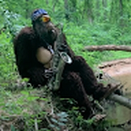 Avatar of user martimnobrega1111_gmail_com