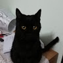 Avatar of user floriro10_