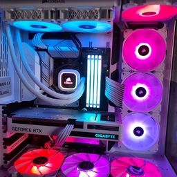 Avatar of user Reptle1