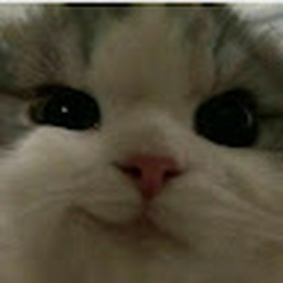 Avatar of user fquispealmonacid_gmail_com