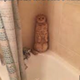 Avatar of user davise_buschools_com