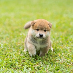 Avatar of user eandersen_colfaxmingo_org