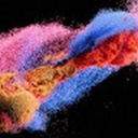 Avatar of user tiktokff1234