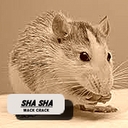 Cover of album Sha Sha by Wack Crack