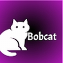 Avatar of user bobcatt11
