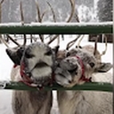 Avatar of user haugh_michelle_fhasd_net