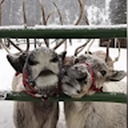 Avatar of user haugh_michelle_fhasd_net