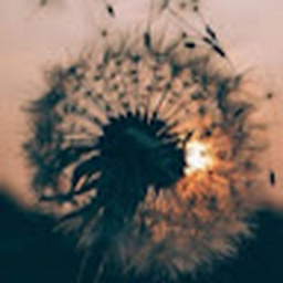 Avatar of user nyssoon