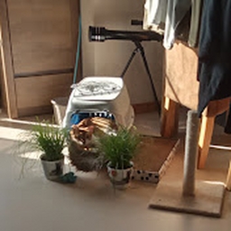 Avatar of user dematies