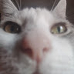 Avatar of user vmarkzs