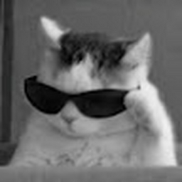 Avatar of user fxrhxyx