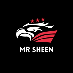 Avatar of user mrsheen