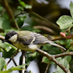 Avatar of user ekipa