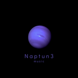Avatar of user Naptun3