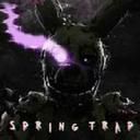 Cover of album Springtrap by $Cooltrap$