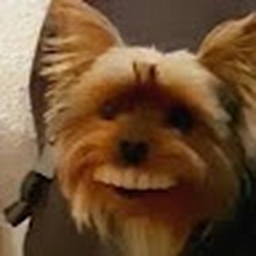 Avatar of user landen_hayes