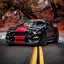 Avatar of user shelby_gt