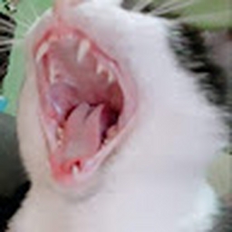 Avatar of user Adluxzzz