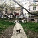 Cover of album SBZ ESSENTIALS by drew :x