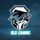 Avatar of user BlizGaming777