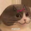 Avatar of user melvin is cute